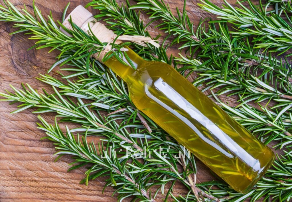 How to Use Rosemary Oil for Hair Growth