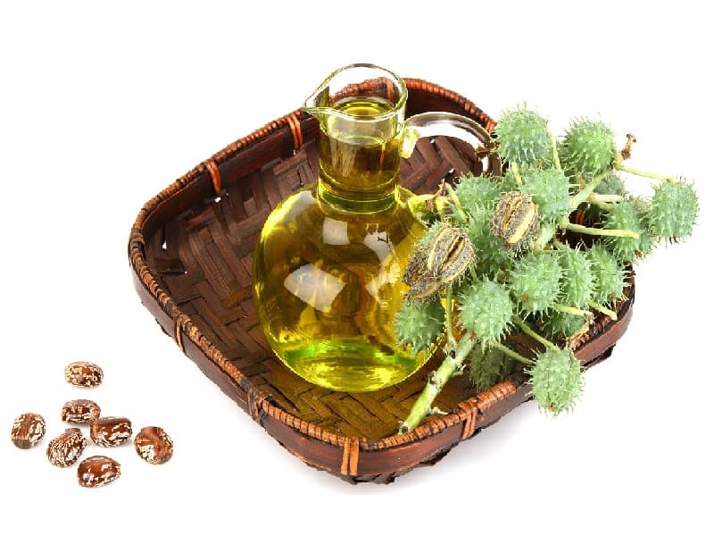 What Makes Castor Oil Effective for Hair Growth What Makes Castor Oil Effective for Hair Growth