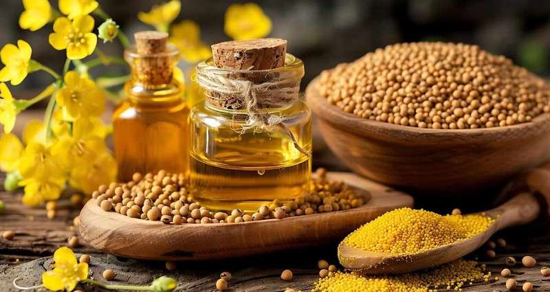 What is Mustard Oil