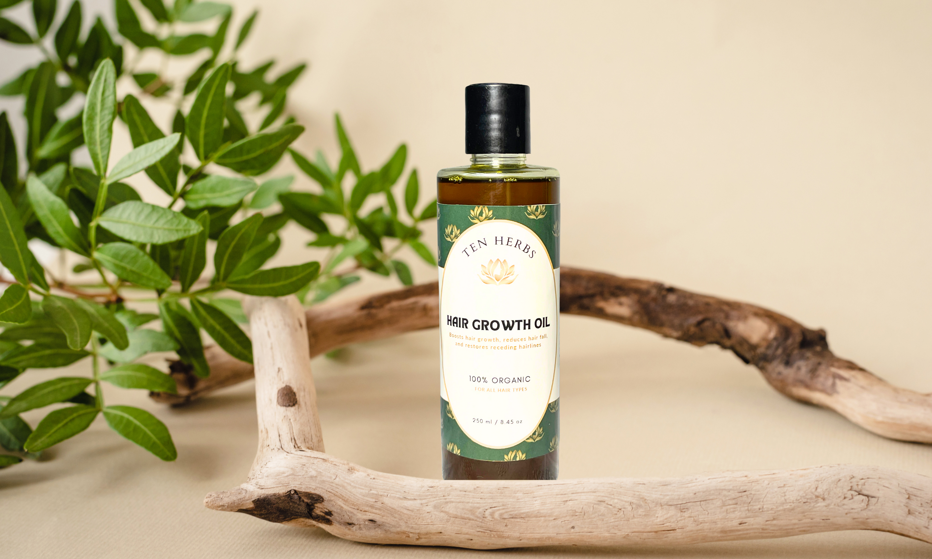 Ten Herbs Hair Growth Oil