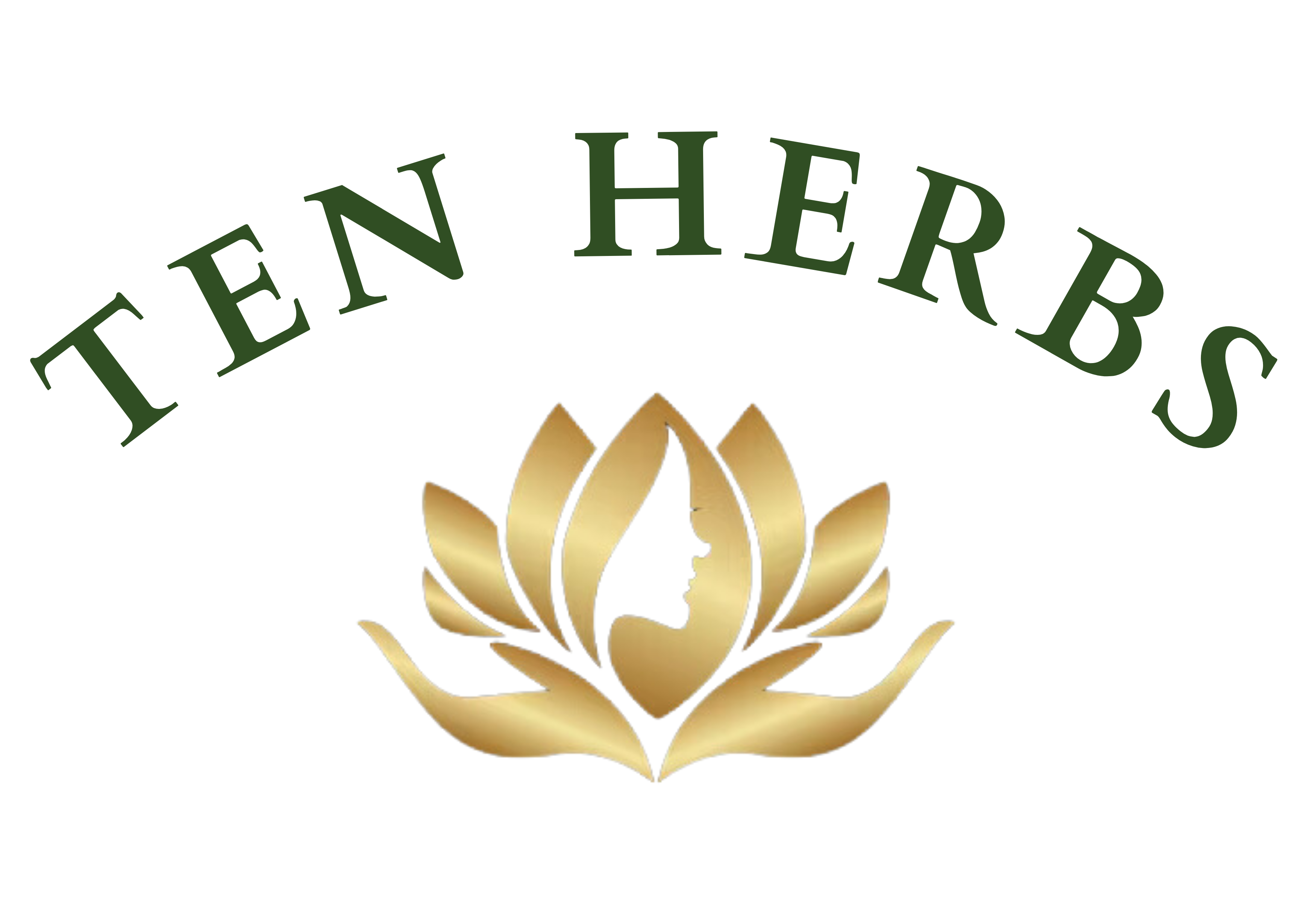 tenherbsofficial.com logo