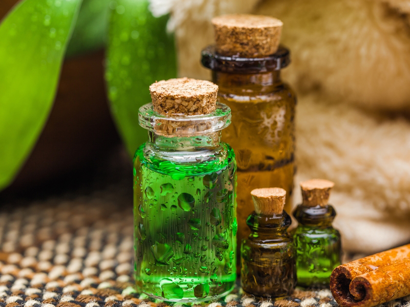 Benefits of Tea Tree Oil for Hair