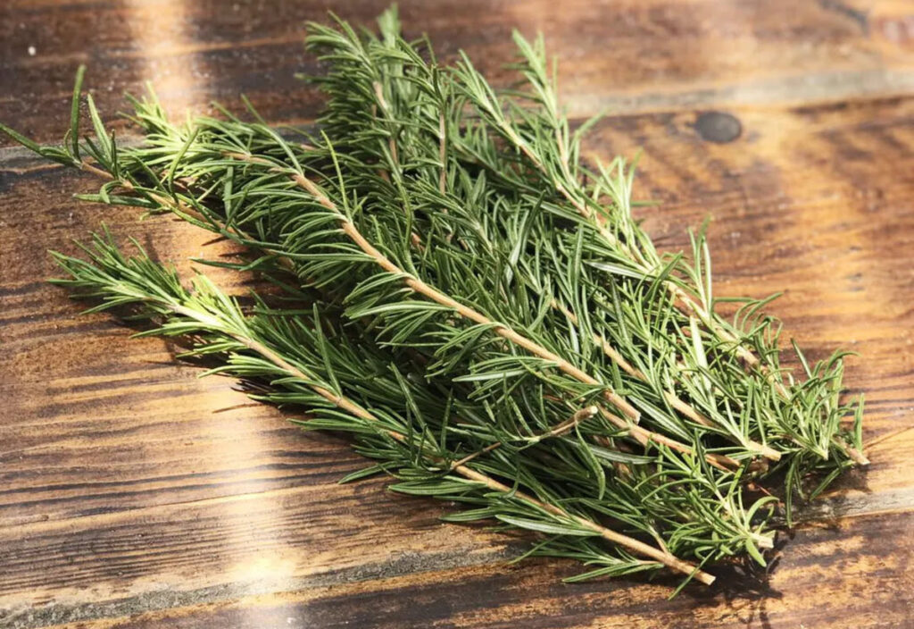 How Many Drops of Rosemary Oil should I Put in My Hair?