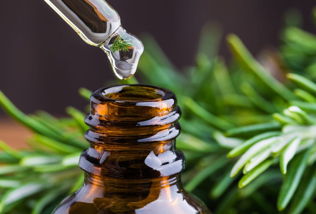 How to Make Rosemary Oil for Hair?