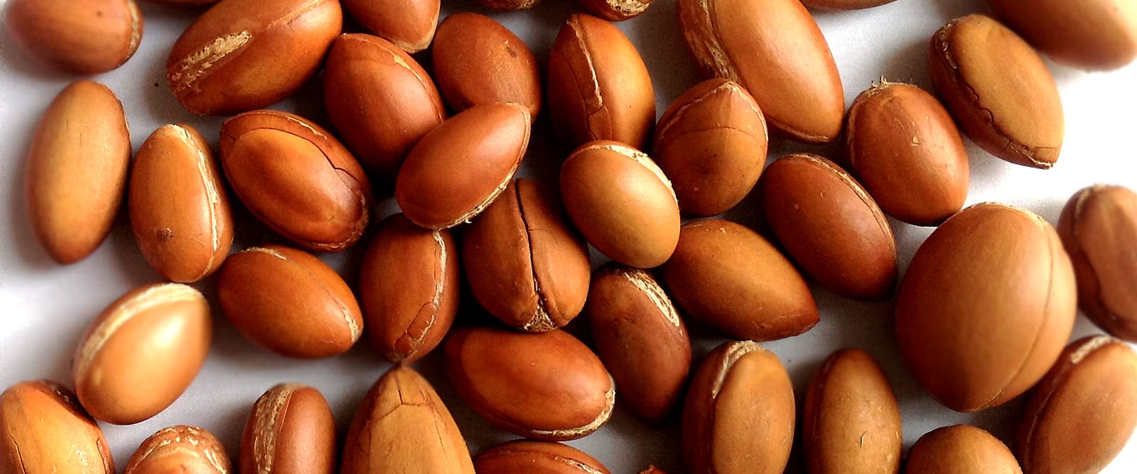 How to Use Argan Oil for Hair How to Use Argan Oil for Hair