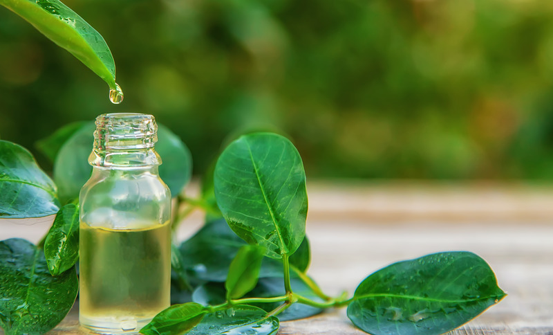 Is Tea Tree Oil Good for Hair?