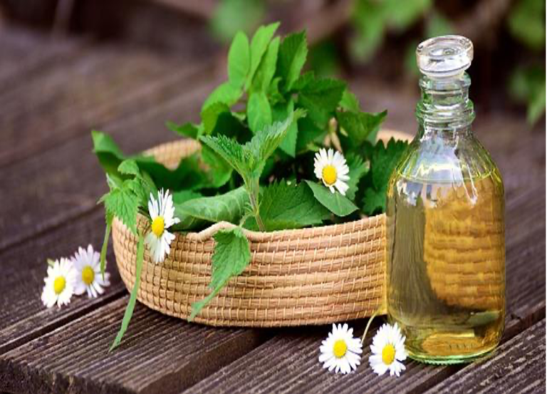The Role of Hair Oil in Hair Care The Role of Hair Oil in Hair Care
