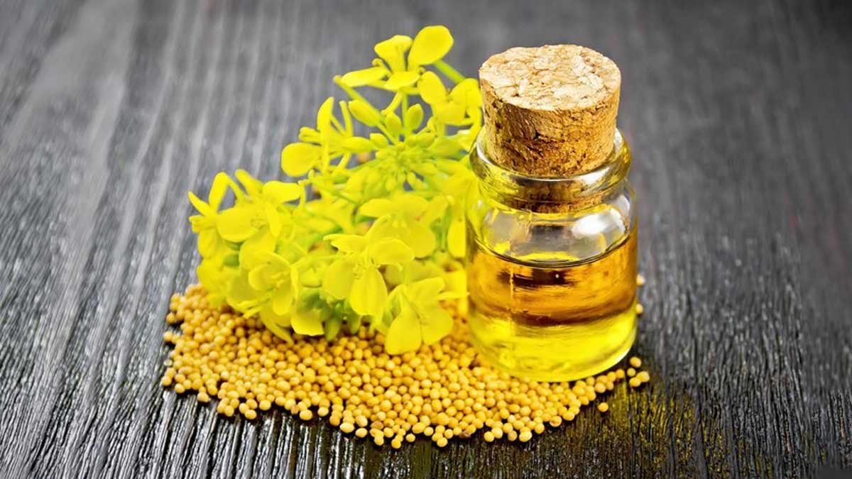 What Is Mustard Oil What Is Mustard Oil