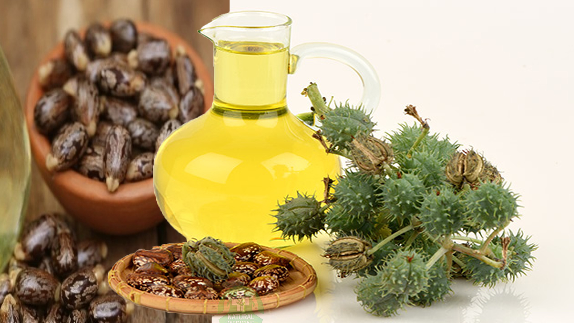 What Makes Castor Oil Unique? What Makes Castor Oil Unique?