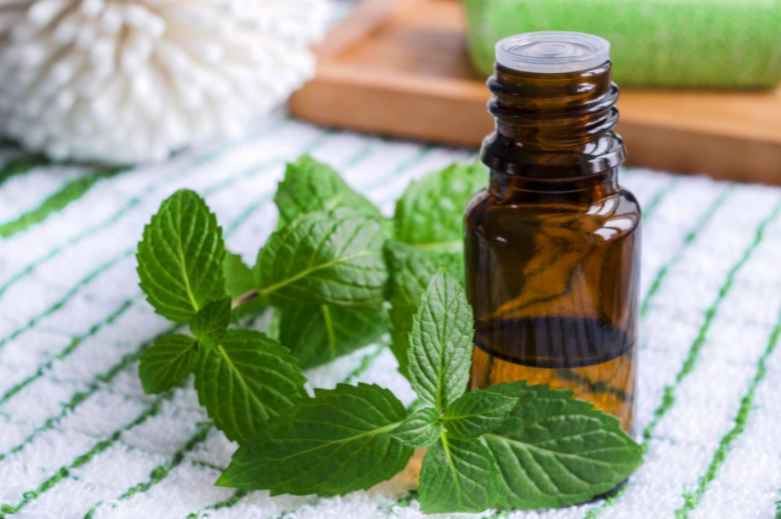 What are the Benefits of Peppermint Oil for Hair