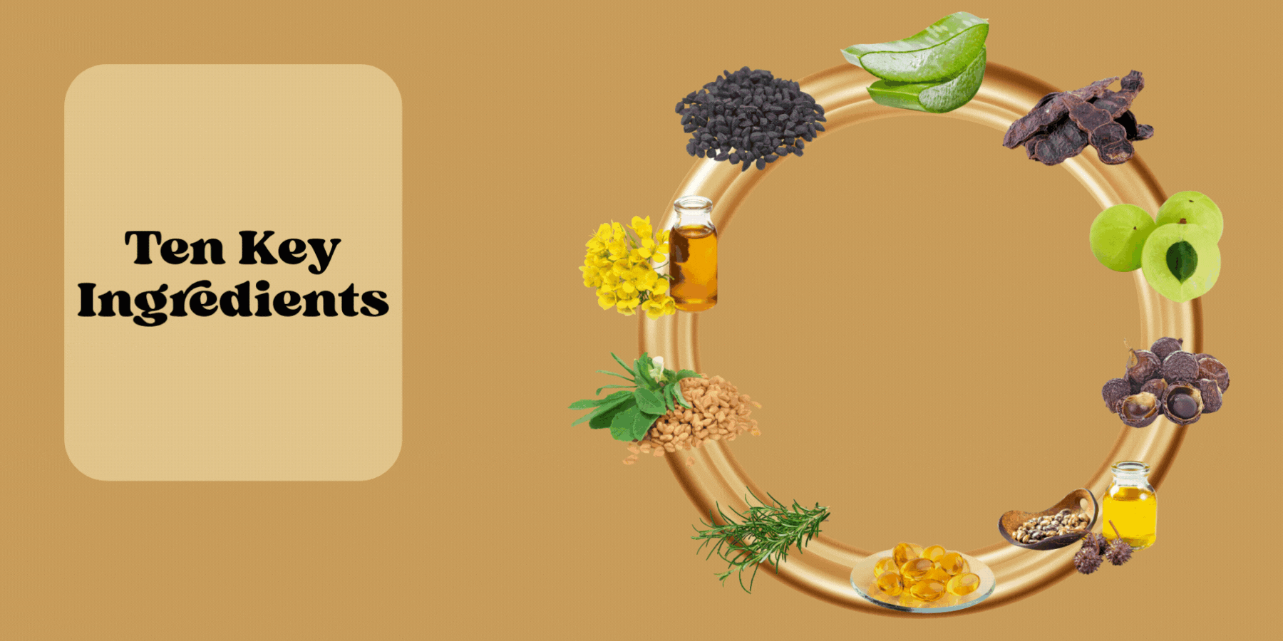 Ten Key Ingredients