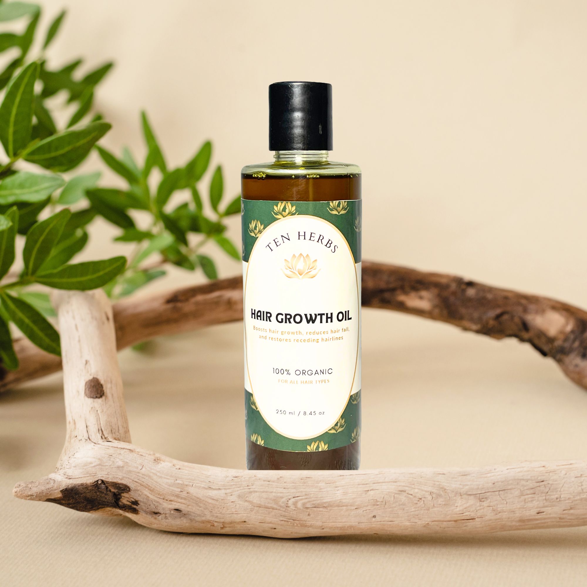 Ten Herbs Hair Growth Oil - The Game Changer